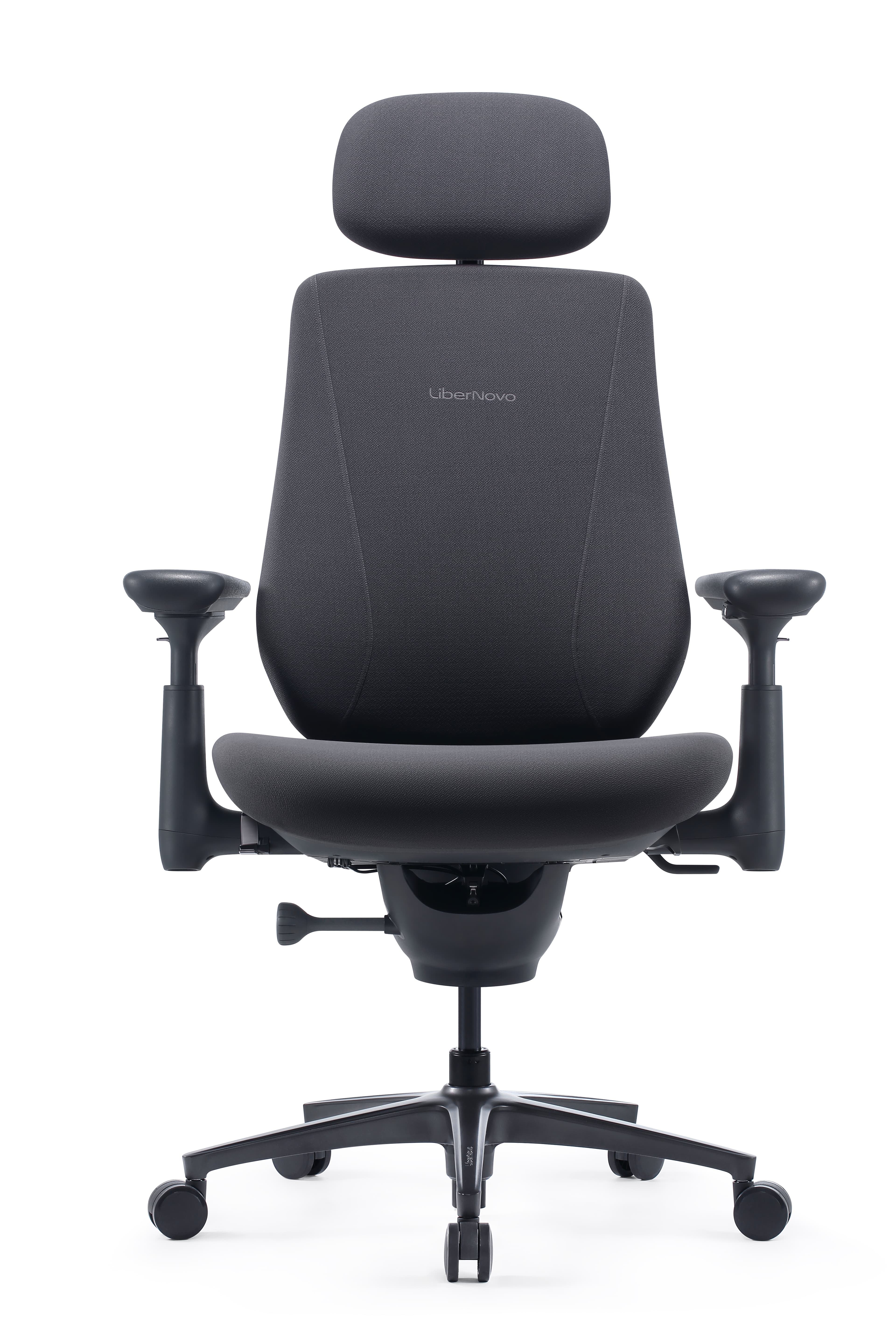 LiberNovo Maxis Electric in Graphite — front view